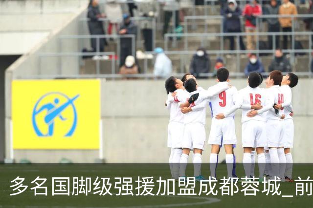 多名国脚级强援加盟成都蓉城 前场还有进人空间